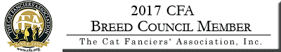 2017Council