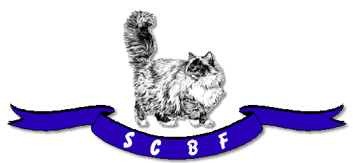 bannerSCBF