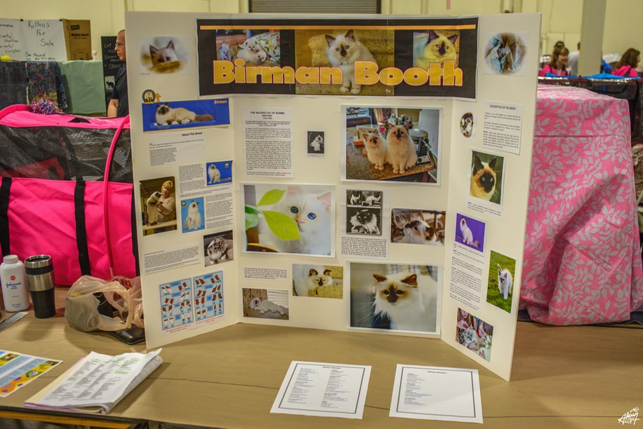 BirmanBooth-1