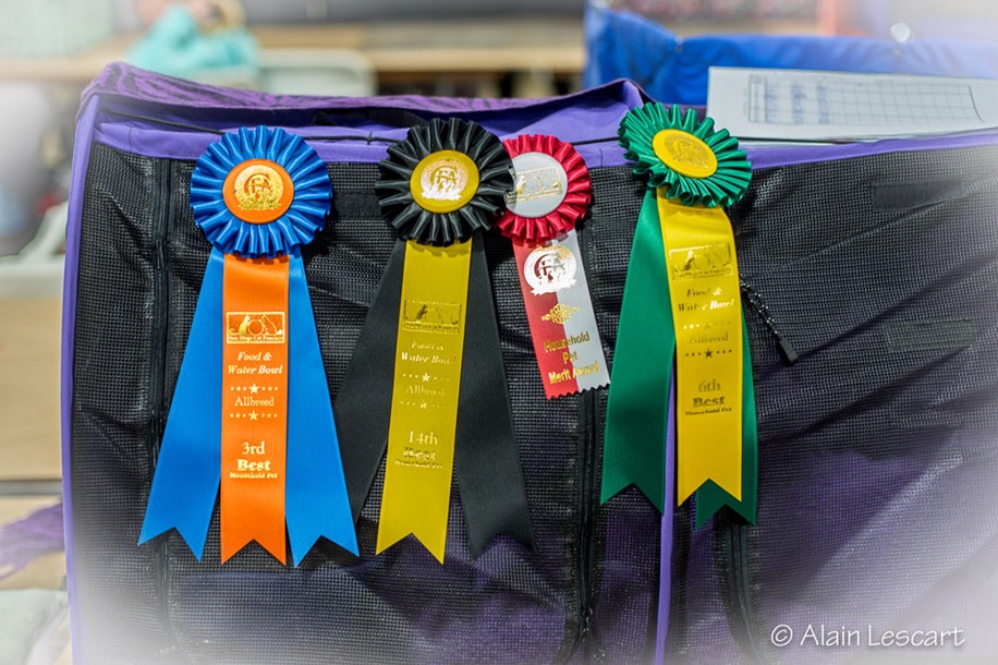 Ribbons-1.jpg